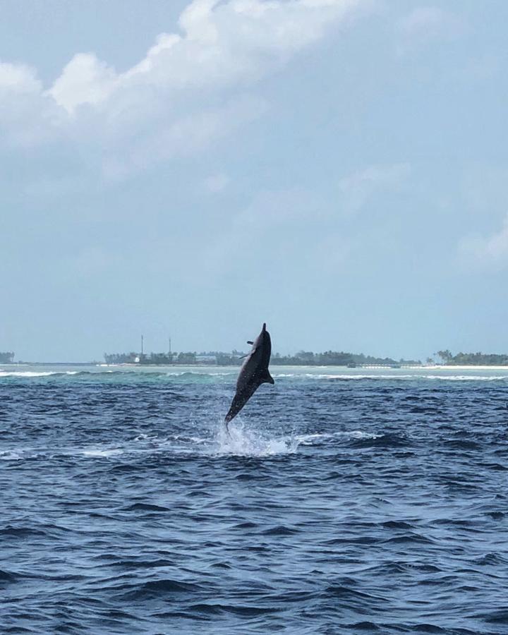 Seginy Seaview Hotel Guraidhoo  Exterior photo